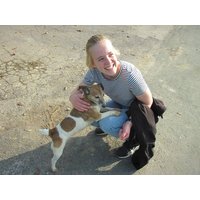3 Tage "Mein Hund & Ich" im Teutoburger Wald / mit HP in Horn-Bad Meinberg, Nordrhein-Westfalen Halbpension Unkategorisiert online kaufen 3 Tage "Mein Hund & Ich" im Teutoburger Wald / mit HP in Horn-Bad Meinberg, Nordrhein-Westfalen Halbpension Unkategorisiert online kaufen
