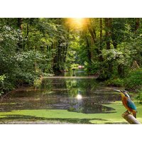 3 Tage Übernachtungs-Schnäppchen im Ferien Hotel in Neuhausen/Spree, Brandenburg Frühstück Unkategorisiert online kaufen 3 Tage Übernachtungs-Schnäppchen im Ferien Hotel in Neuhausen/Spree, Brandenburg Frühstück Unkategorisiert online kaufen