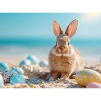 4 Tage Ostern an der Nordsee in Wilhelmshaven, Niedersachsen Halbpension Unkategorisiert online kaufen 4 Tage Ostern an der Nordsee in Wilhelmshaven, Niedersachsen Halbpension Unkategorisiert online kaufen