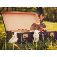 4 Tage Osterurlaub im Thüringer Wald inkl. HP Plus in Masserberg, Thüringen Halbpension Plus Unkategorisiert online kaufen 4 Tage Osterurlaub im Thüringer Wald inkl. HP Plus in Masserberg, Thüringen Halbpension Plus Unkategorisiert online kaufen