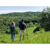 4 Tage Wandern zwischen Taunus und Wetterau in Frankfurt am Main, Hessen Halbpension Unkategorisiert online kaufen