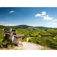 5 Tage Kurzurlaub am Kaiserstuhl in Ihringen, Baden-Württemberg Frühstück Unkategorisiert online kaufen