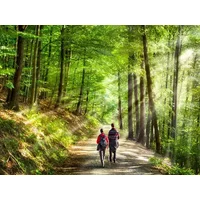 6 Tage den Harz erleben! inkl. Halbpension in Thale OT Treseburg, Sachsen-Anhalt Halbpension Unkategorisiert online kaufen 6 Tage den Harz erleben! inkl. Halbpension in Thale OT Treseburg, Sachsen-Anhalt Halbpension Unkategorisiert online kaufen
