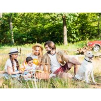 7 Tage Urlaub mit Hund in den Tiroler Bergen in Ehrwald Frühstück Unkategorisiert online kaufen