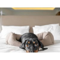8 Tage Alpenurlaub mit Hund - Wandern, Natur & Erholung in Fusch, Salzburg Frühstück Unkategorisiert online kaufen