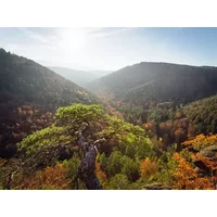 8 Tage Kurzurlaub im Harz in Thale OT Treseburg, Sachsen-Anhalt Frühstück Unkategorisiert online kaufen 8 Tage Kurzurlaub im Harz in Thale OT Treseburg, Sachsen-Anhalt Frühstück Unkategorisiert online kaufen