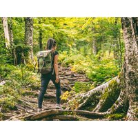 Abenteuer Natur, Wanderurlaub im Schwarzwald | 3 Tage in Empfingen, Baden-Württemberg Frühstück Unkategorisiert online kaufen