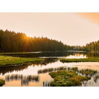 Aktiv-Woche im Bayerischen Wald für Alle! in Bodenmais, Bayern Halbpension Unkategorisiert online kaufen Aktiv-Woche im Bayerischen Wald für Alle! in Bodenmais, Bayern Halbpension Unkategorisiert online kaufen