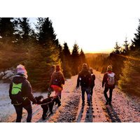 "Auf 4 Pforten durch die Heide" (Urlaub mit Hund) in Bispingen, Niedersachsen Halbpension Unkategorisiert online kaufen "Auf 4 Pforten durch die Heide" (Urlaub mit Hund) in Bispingen, Niedersachsen Halbpension Unkategorisiert online kaufen