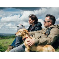 Auszeit für Sie & Ihren Hund, 4 Tage/3 Nächte in Baden bei Wien, Niederösterreich Halbpension Unkategorisiert online kaufen
