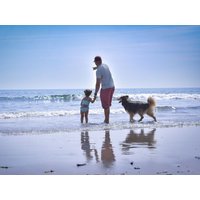 Auszeit mit Hund am Bernsteinsee in Sassenburg, Niedersachsen Frühstück Unkategorisiert online kaufen Auszeit mit Hund am Bernsteinsee in Sassenburg, Niedersachsen Frühstück Unkategorisiert online kaufen