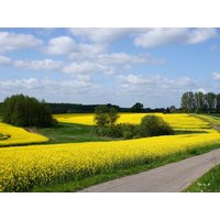 Entdecker-Träume an der Mecklenburgischen Seenplatte in Güstrow, Mecklenburg-Vorpommern Frühstück Unkategorisiert online kaufen Entdecker-Träume an der Mecklenburgischen Seenplatte in Güstrow, Mecklenburg-Vorpommern Frühstück Unkategorisiert online kaufen