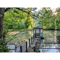 Erholung pur - 6 Tage im Silberbachtal im Teutoburger Wald in Horn-Bad Meinberg, Nordrhein-Westfalen Frühstück Unkategorisiert online kaufen Erholung pur - 6 Tage im Silberbachtal im Teutoburger Wald in Horn-Bad Meinberg, Nordrhein-Westfalen Frühstück Unkategorisiert online kaufen