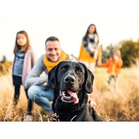 Freude auf 4 Pfoten St. Englmar mit dem Hund | 4 Tage in Neukirchen (Niederbayern), Bayern Frühstück Unkategorisiert online kaufen