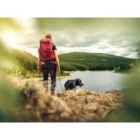 Freude auf 4 Pfoten St. Englmar mit dem Hund | 7 Tage in Neukirchen (Niederbayern), Bayern Frühstück Unkategorisiert online kaufen