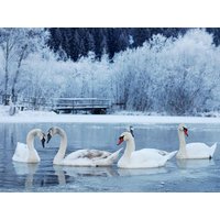 Große Winter Auszeit am See in Beetzsee OT Brielow, Brandenburg Halbpension Plus Unkategorisiert online kaufen