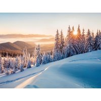 Hallo 2027 - Unser Sonderangebot zum Jahresstart in Hürtgenwald OT Vossenack, Nordrhein-Westfalen Halbpension Unkategorisiert online kaufen Hallo 2027 - Unser Sonderangebot zum Jahresstart in Hürtgenwald OT Vossenack, Nordrhein-Westfalen Halbpension Unkategorisiert online kaufen