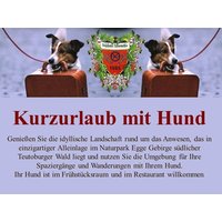 Pfötchenurlaub – 3 Tage Erholung für Zwei- und Vierbeiner in Horn-Bad Meinberg, Nordrhein-Westfalen Halbpension Unkategorisiert online kaufen