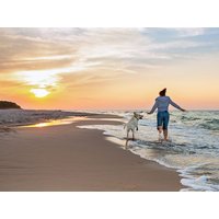 Pfötchenwochen Spezial auf Usedom in Ostseebad Koserow (Usedom), Mecklenburg-Vorpommern Frühstück Unkategorisiert online kaufen Pfötchenwochen Spezial auf Usedom in Ostseebad Koserow (Usedom), Mecklenburg-Vorpommern Frühstück Unkategorisiert online kaufen