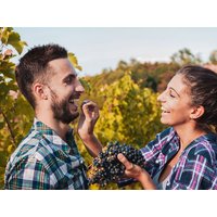 Ruhe & Wellness in der steirischen Luxus-Lodge mit eigenem Wellnessbereich | 2 Nächte in Klöch, Steiermark Nur Übernachtung Unkategorisiert online kaufen