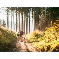 Tierisch Pfalz - Urlaub mit dem Hund HP | 3 Tage in Leinsweiler, Rheinland-Pfalz Halbpension Unkategorisiert online kaufen Tierisch Pfalz - Urlaub mit dem Hund HP | 3 Tage in Leinsweiler, Rheinland-Pfalz Halbpension Unkategorisiert online kaufen
