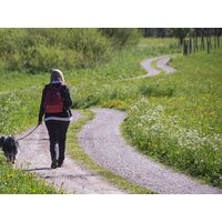 Tierisch Taunusstein - Urlaub mit dem Hund | 2 Tage, Hessen Frühstück Unkategorisiert online kaufen