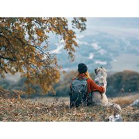 Tierisch Wels - Urlaub mit dem Hund | 3 Tage, Oberösterreich Frühstück Unkategorisiert online kaufen