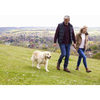 Tierisch Wels - Urlaub mit dem Hund | 4 Tage, Oberösterreich Frühstück Unkategorisiert online kaufen