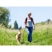 Urlaub auf vier Pfoten | Auszeit mit Ihrem Hund | 4 Tage in Semriach, Steiermark Halbpension Unkategorisiert online kaufen