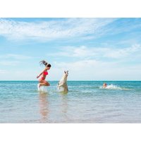 Urlaub mit 4 Pfoten: 3 Tage buddeln an der Boddenküste in Pruchten, Mecklenburg-Vorpommern Nur Übernachtung Unkategorisiert online kaufen Urlaub mit 4 Pfoten: 3 Tage buddeln an der Boddenküste in Pruchten, Mecklenburg-Vorpommern Nur Übernachtung Unkategorisiert online kaufen