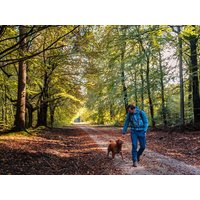 Urlaub mit 4 Pfoten: 4 Tage buddeln an der Boddenküste in Pruchten, Mecklenburg-Vorpommern Nur Übernachtung Unkategorisiert online kaufen Urlaub mit 4 Pfoten: 4 Tage buddeln an der Boddenküste in Pruchten, Mecklenburg-Vorpommern Nur Übernachtung Unkategorisiert online kaufen