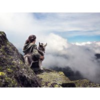 Urlaub mit Hund - Ferien auf vier Pfoten HP - 3 N in Mutters, Tirol Halbpension Unkategorisiert online kaufen Urlaub mit Hund - Ferien auf vier Pfoten HP - 3 N in Mutters, Tirol Halbpension Unkategorisiert online kaufen
