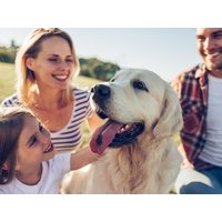 Urlaub mit Hund in Neustrelitz, Mecklenburg-Vorpommern Halbpension Unkategorisiert online kaufen Urlaub mit Hund in Neustrelitz, Mecklenburg-Vorpommern Halbpension Unkategorisiert online kaufen