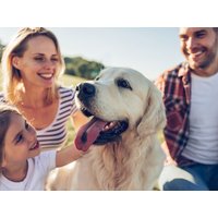 Urlaub mit Hund – tierischer Urlaub inkl. HP | 4 Tage in Bad Laasphe, Nordrhein-Westfalen Halbpension Unkategorisiert online kaufen Urlaub mit Hund – tierischer Urlaub inkl. HP | 4 Tage in Bad Laasphe, Nordrhein-Westfalen Halbpension Unkategorisiert online kaufen