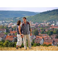 Wandern an der Romantischen Straße in Bad Mergentheim, Baden-Württemberg Halbpension Unkategorisiert online kaufen