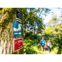Westerwald: 3 Tage Wander-Special mit tägl. Dinner in Höhr-Grenzhausen, Rheinland-Pfalz Halbpension Unkategorisiert online kaufen Westerwald: 3 Tage Wander-Special mit tägl. Dinner in Höhr-Grenzhausen, Rheinland-Pfalz Halbpension Unkategorisiert online kaufen