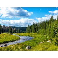 Winterausklang in der Eifel! in Hürtgenwald OT Vossenack, Nordrhein-Westfalen Halbpension Unkategorisiert online kaufen Winterausklang in der Eifel! in Hürtgenwald OT Vossenack, Nordrhein-Westfalen Halbpension Unkategorisiert online kaufen