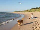 polnische ostsee mit hund