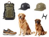 Wandern Hund Ausrüstung: Guide für Ihre Touren